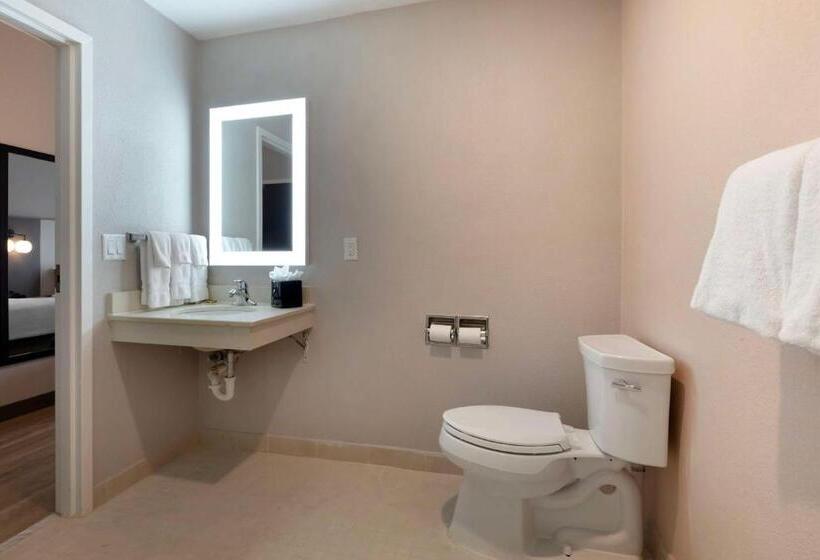 חדר סטנדרט מותאם לאדם עם מוגבלויות, Best Western Plus Fort Worth North