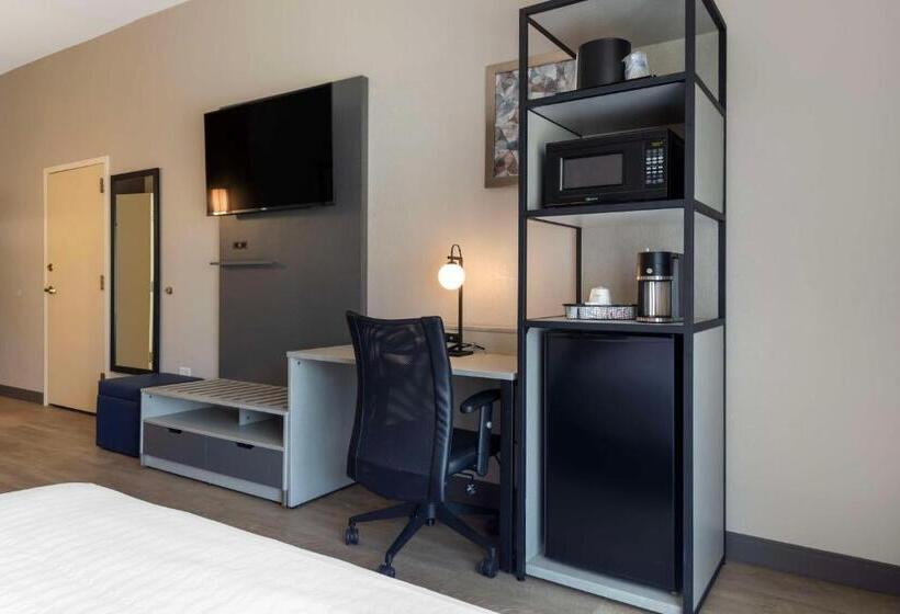 חדר סטנדרט מותאם לאדם עם מוגבלויות, Best Western Plus Fort Worth North