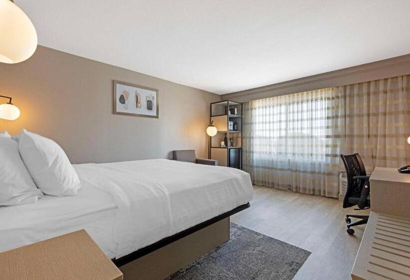 キングサイズベッドのスタンダードルーム, Best Western Plus Fort Worth North