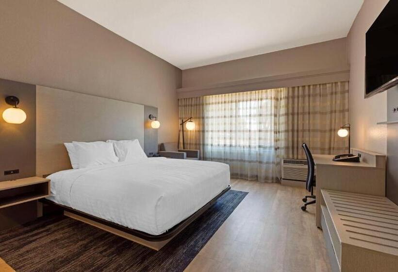 חדר סטנדרט, מיטת קינג, מותאם לאדם עם מוגבלויות, Best Western Plus Fort Worth North