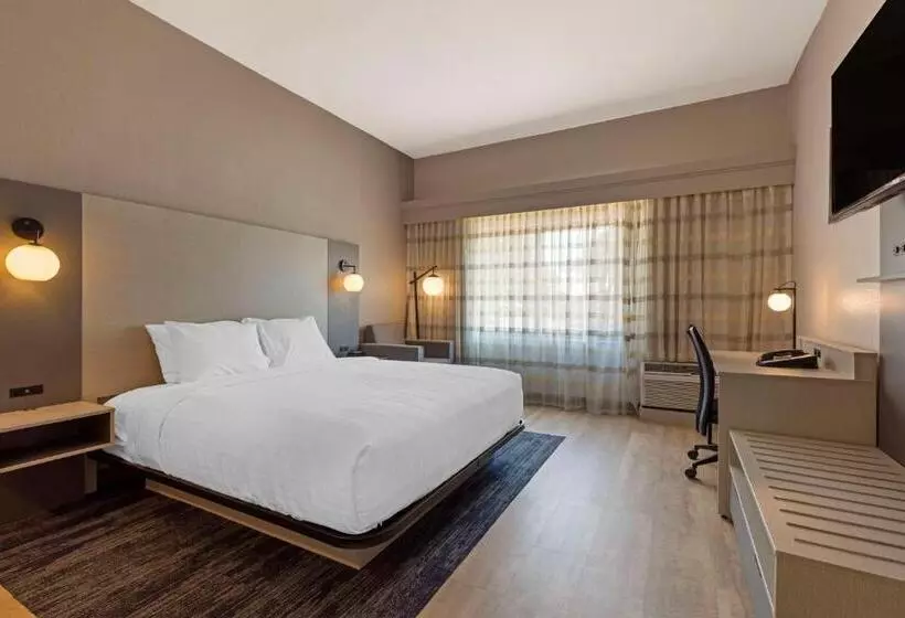 身障者適用キングサイズベッドルーム, Best Western Plus Fort Worth North