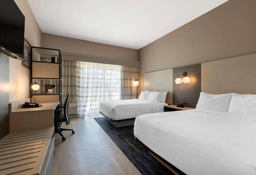 スタンダードルーム, Best Western Plus Fort Worth North