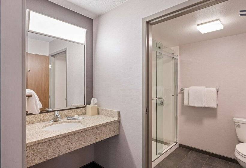 غرفه قياسيه سريرين مزدوجين, Sonesta Select Pleasant Hill