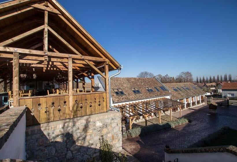 스탠다드 룸, Hehl Pince Panzió