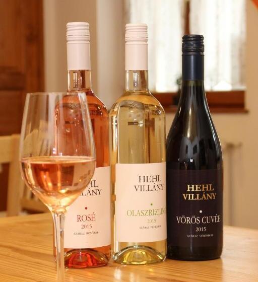 스탠다드 룸, Hehl Pince Panzió