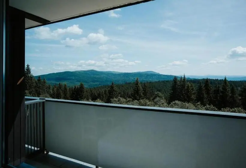 エクゼクティブルーム, Orea Resort Horizont šumava
