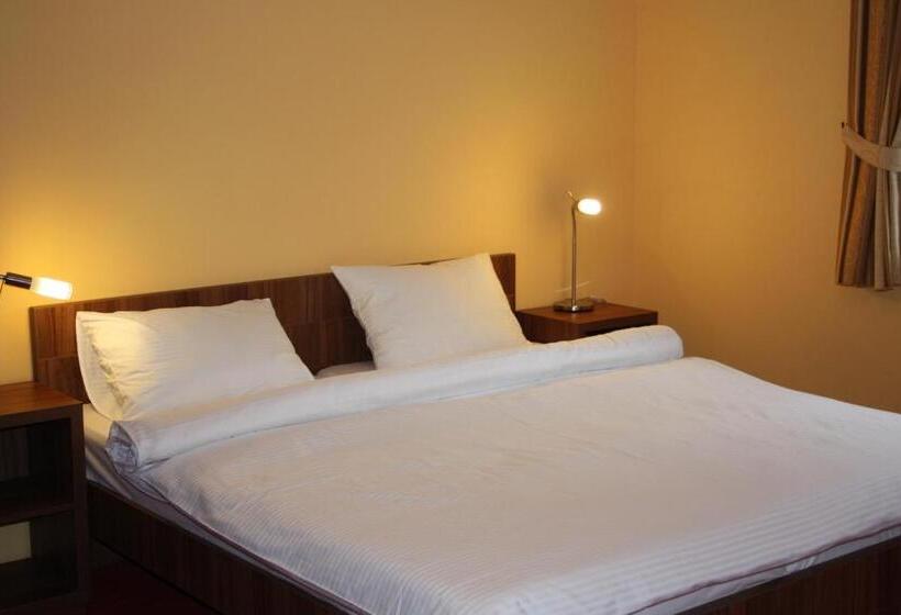 اتاق استاندارد, Penzion Na Hvězdě