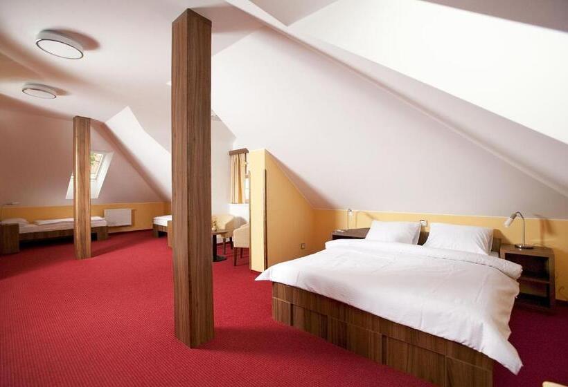 آپارتمان 1 خوابه, Penzion Na Hvězdě