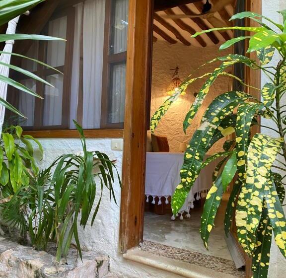 스탠다드 룸, Mawimbi