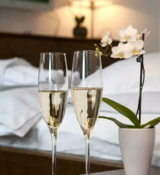 ガーデンビューデラックスルーム, Apartmány šupina