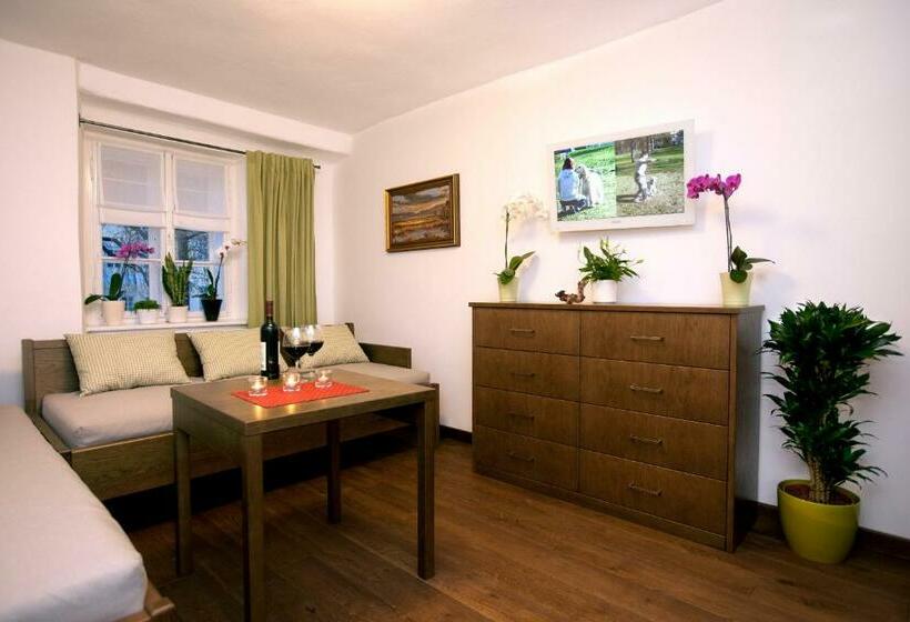 شقة ديلوكس غرفتين نوم, Apartmány šupina