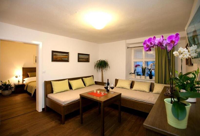 شقة ديلوكس غرفتين نوم, Apartmány šupina