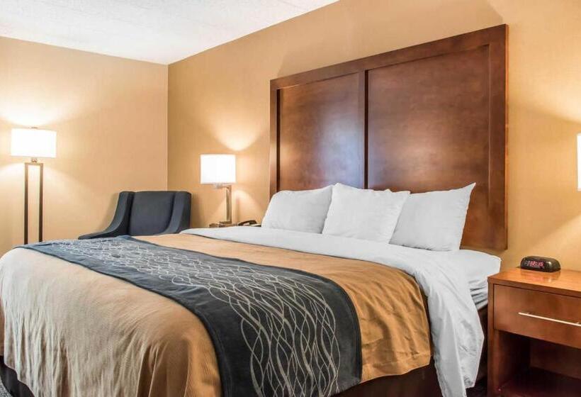 اتاق استاندارد با تخت بزرگ, Spark By Hilton Clarks Summit