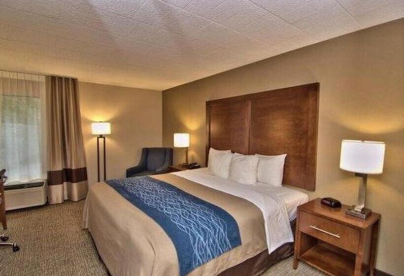 اتاق استاندارد با تخت بزرگ, Spark By Hilton Clarks Summit