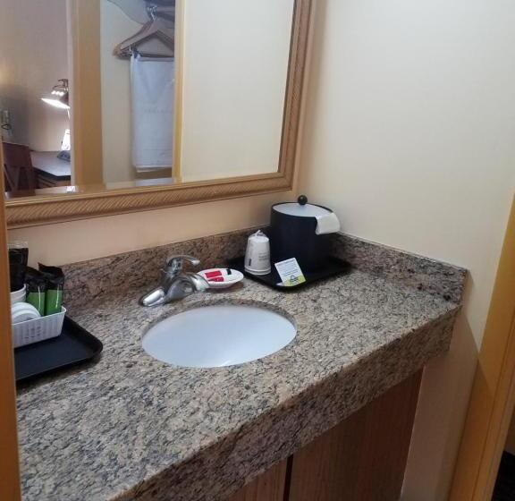 غرفة قياسية سرير كينج, Days Inn By Wyndham Oak Ridge Knoxville