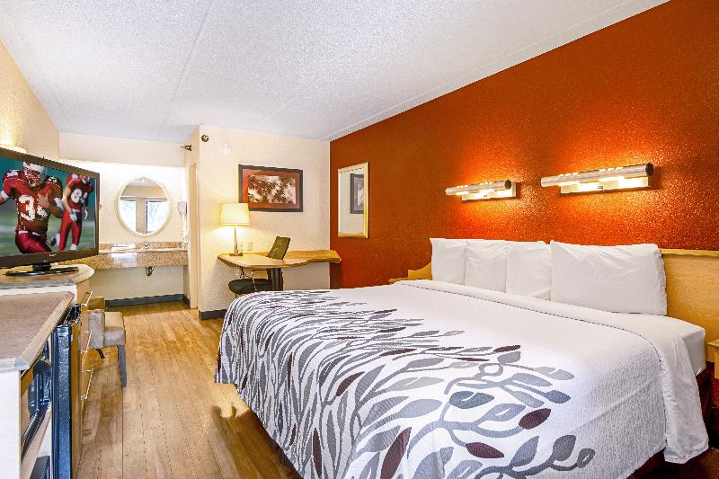 디럭스 룸 킹사이즈 침대, Red Roof Inn Cincinnati Airport–florence/ Erlanger