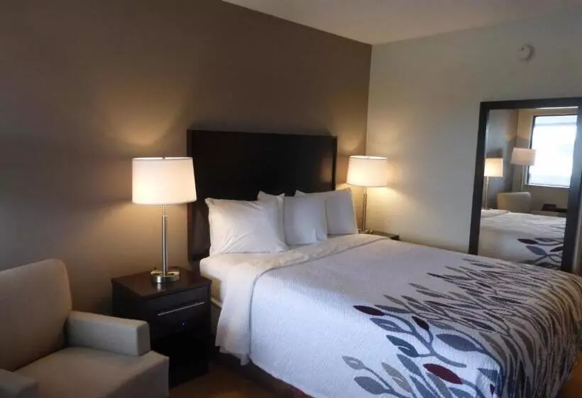 障害者適応デラックスルーム, Red Roof Inn Somerset, Pa