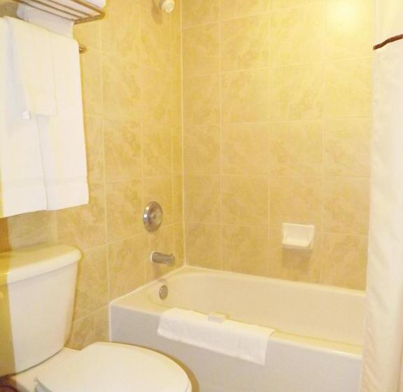 스탠다드 스튜디오 킹침대, River Edge Inn