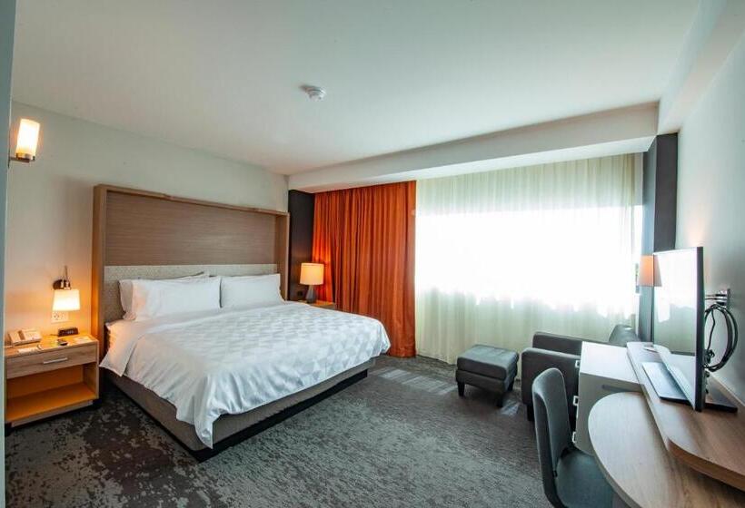 适合残疾人士使用的带超级大床的标准间, Holiday Inn & Suites Merida La Isla, An Ihg