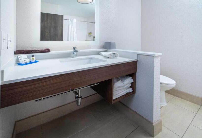 장애인을 위한 킹사이즈 침대 스탠다드 룸, Holiday Inn Express & Suites   Florence   Cincinnati Airport, An Ihg