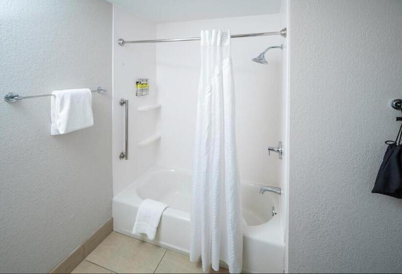 장애인을 위한 킹사이즈 침대 스탠다드 룸, Holiday Inn Express & Suites Florence Cincinnati Airport, An Ihg