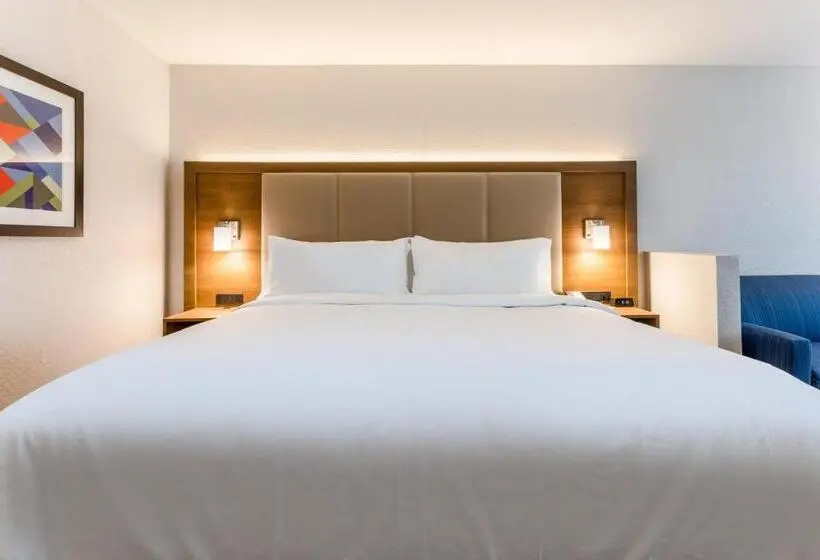 身障者適用スイートルーム, Holiday Inn Express & Suites   Florence   Cincinnati Airport, An Ihg