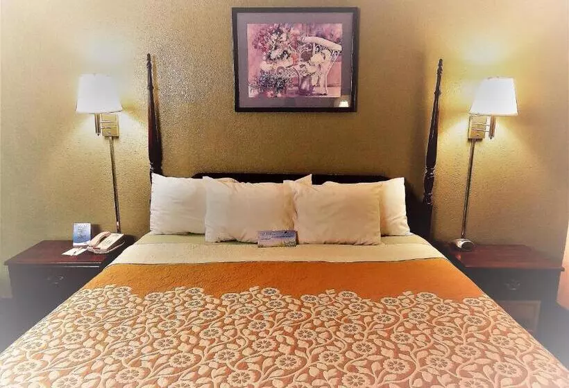 身障者適用キングサイズベッドルーム, Days Inn By Wyndham Southern Hills/oru