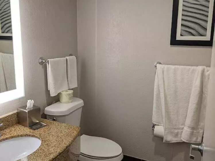 ダブルベッドスタンダードルーム, Doubletree By Hilton Palm Beach Gardens