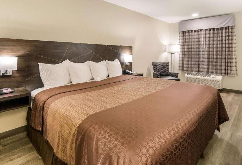 Стандартный Номер Кровать Кинг, Quality Inn & Suites Dallas Cityplace