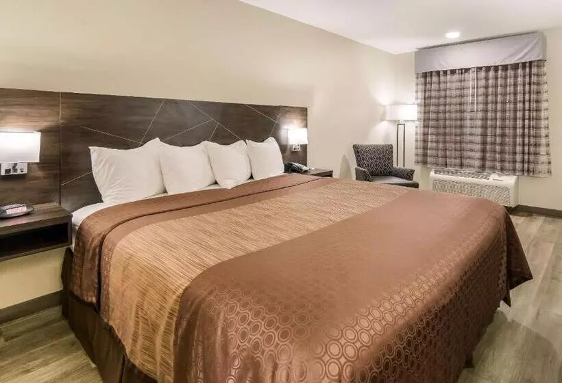 キングサイズベッドのスタンダードルーム, Quality Inn & Suites Dallas Cityplace