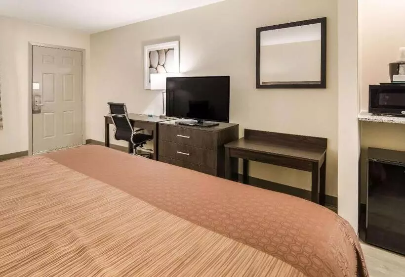キングサイズベッドのスタンダードルーム, Quality Inn & Suites Dallas Cityplace