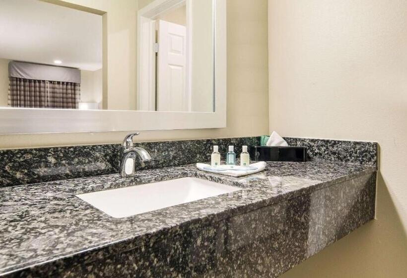 Стандартный Номер Кровать Кинг, Quality Inn & Suites Dallas Cityplace