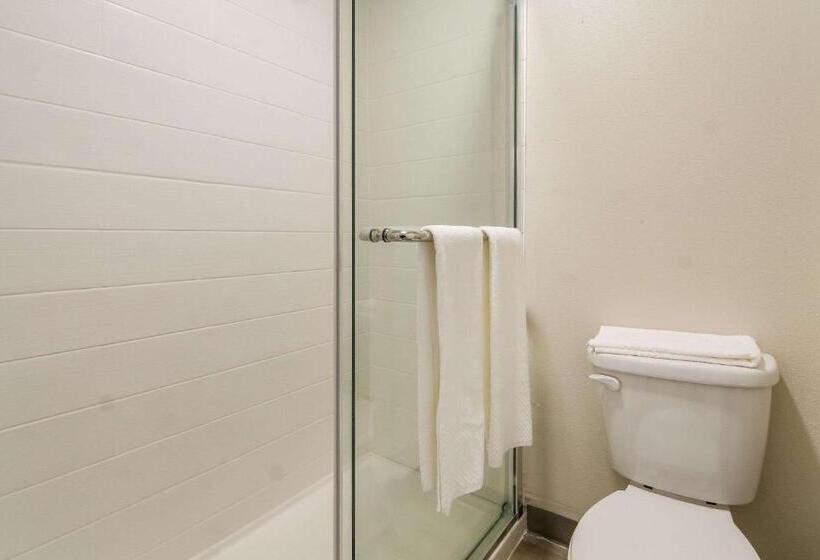 Стандартный Номер Кровать Кинг, Quality Inn & Suites Dallas Cityplace