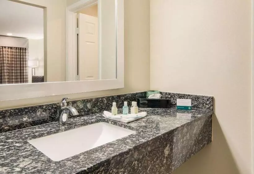 キングサイズベッドのスイートルーム, Quality Inn & Suites Dallas Cityplace