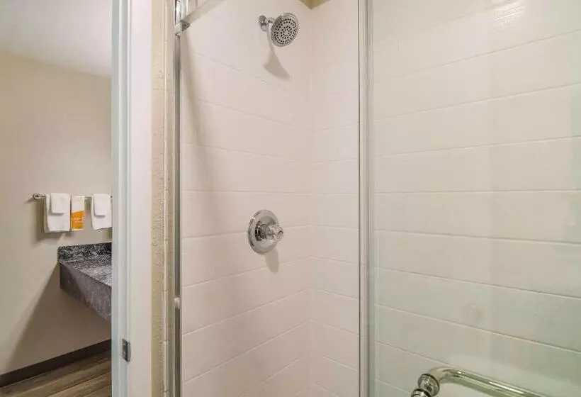 キングサイズベッドのスイートルーム, Quality Inn & Suites Dallas Cityplace