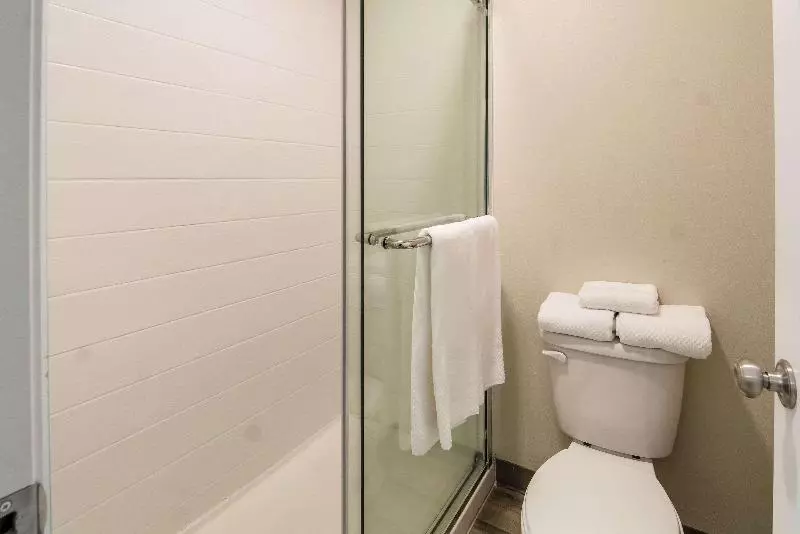 スタンダードルーム, Quality Inn & Suites Dallas Cityplace