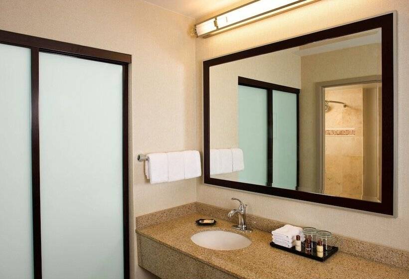 套房, Sheraton Suites Orlando Airport