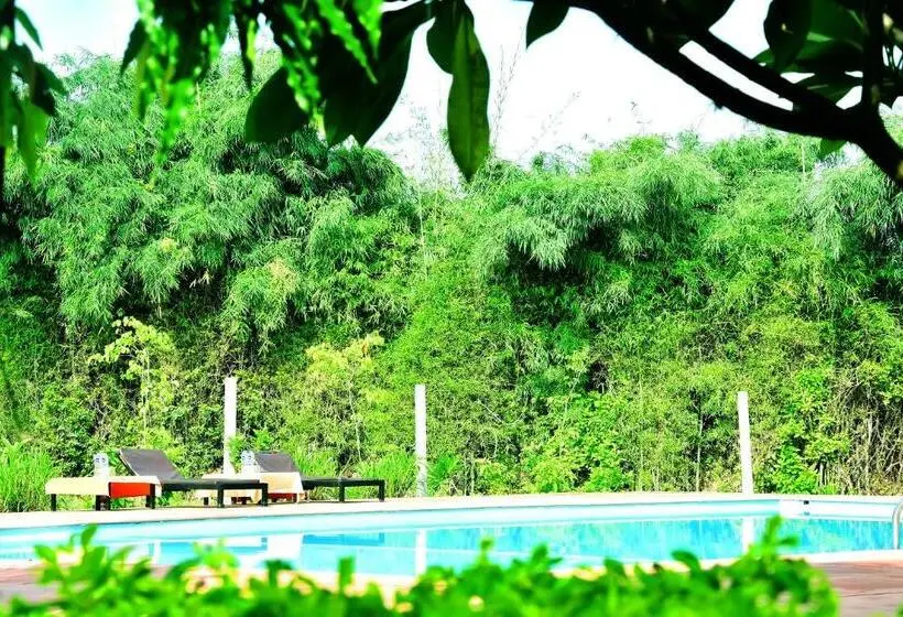 Deluxe-sviitti, Motibagh Resort