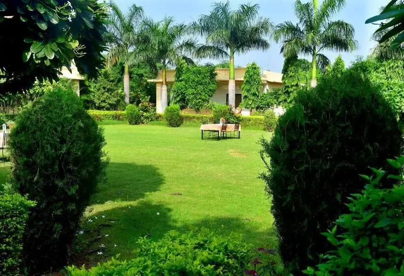 Deluxe-sviitti, Motibagh Resort