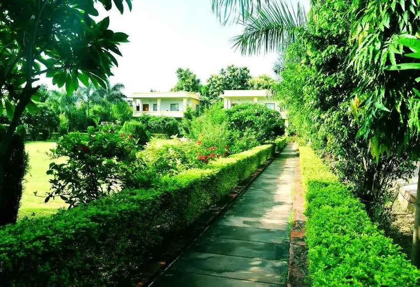 Deluxe-sviitti, Motibagh Resort