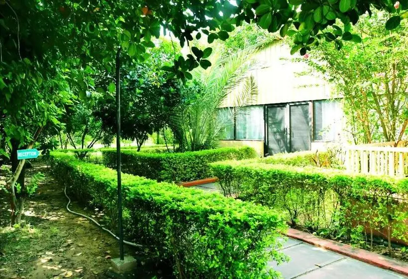 Deluxe-sviitti, Motibagh Resort