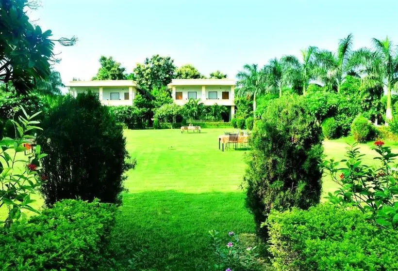 Deluxe-sviitti, Motibagh Resort