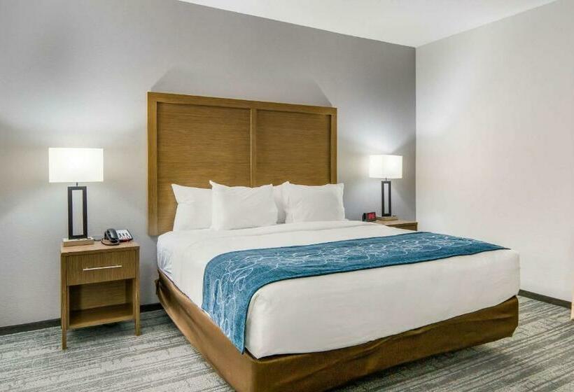 キングサイズベッドのスイートルーム, Comfort Suites Desoto Dallas South