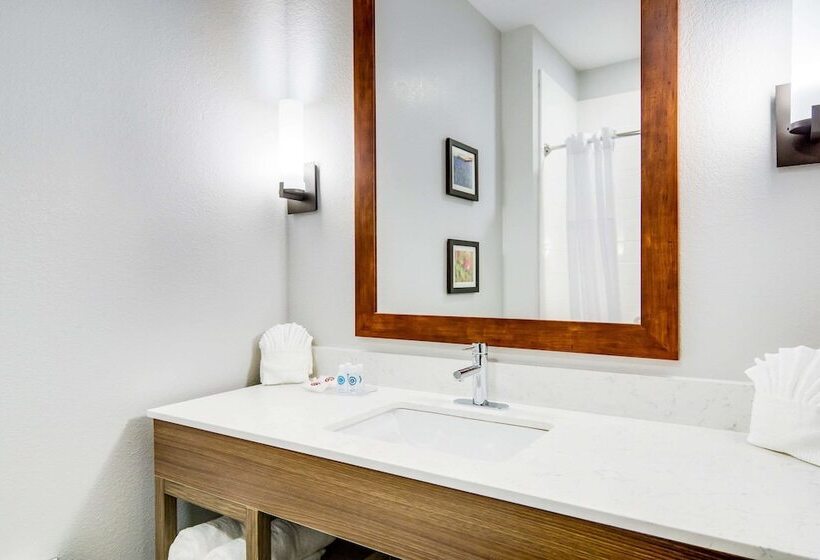 スイート, Comfort Suites Desoto Dallas South