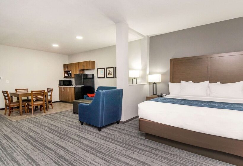 Люкс, Comfort Suites Desoto Dallas South