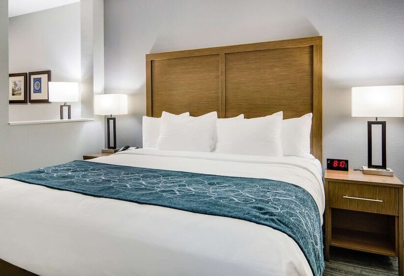 スイート, Comfort Suites Desoto Dallas South