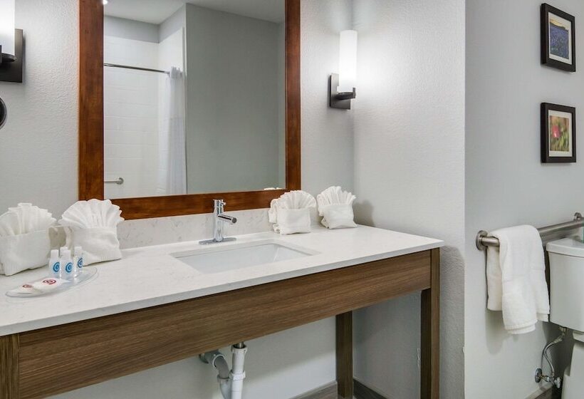 身障者適用スイートルーム, Comfort Suites Desoto Dallas South