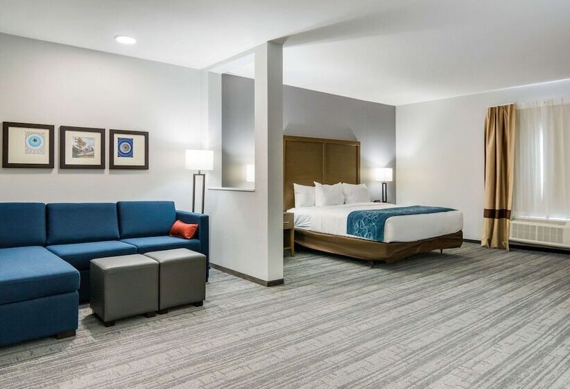 Люкс Адаптированный для Инвалидов, Comfort Suites Desoto Dallas South