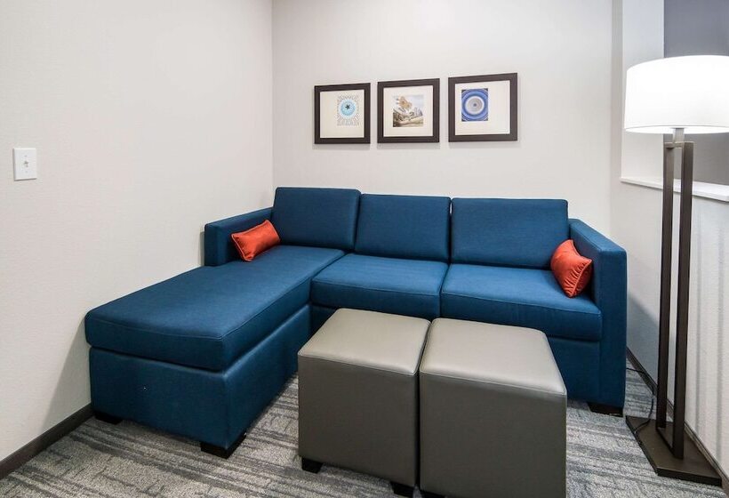 身障者適用スイートルーム, Comfort Suites Desoto Dallas South