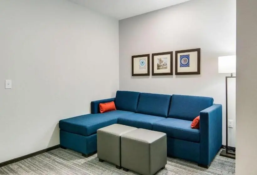 キングサイズベッドのスイートルーム, Comfort Suites Desoto Dallas South